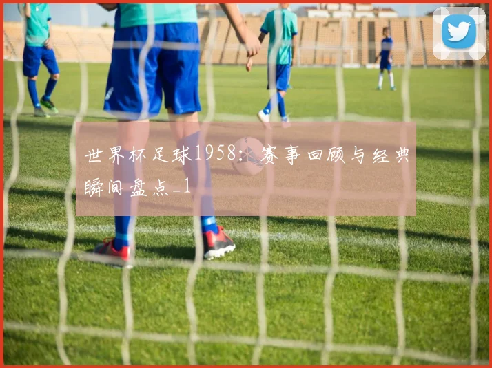 世界杯足球1958:赛事回顾与经典瞬间盘点_1